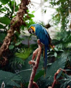 Appreciating Your Surroundings in Quarantine